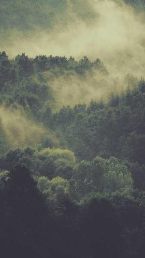 孕初期可以吃哈密瓜吗截图4