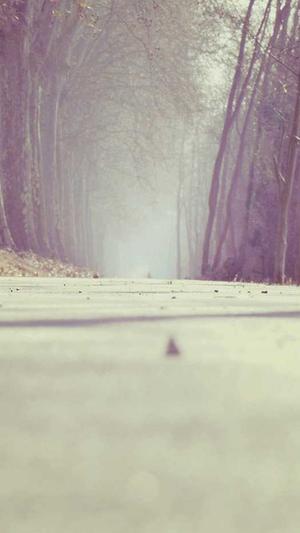 八月瓜要怎么吃截图3