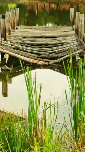 吃瓜群众苏苏截图1