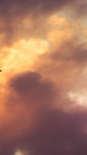 吃瓜少女张小寒鹿晗截图1