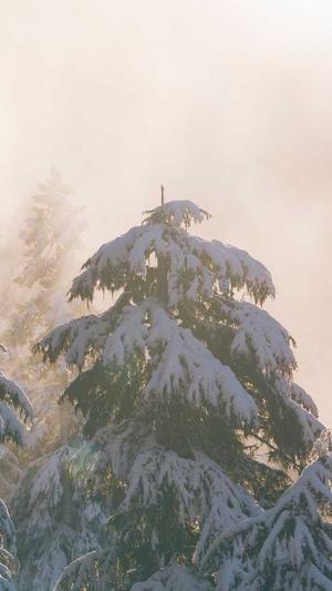 全民吃瓜app坑钱截图1