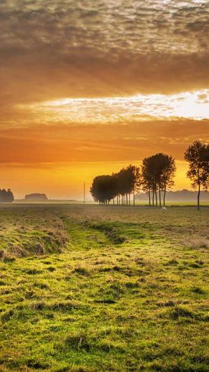 许魏洲黑料天涯截图3