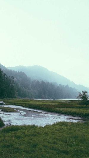 娱乐圈恐怖黑料天涯截图1