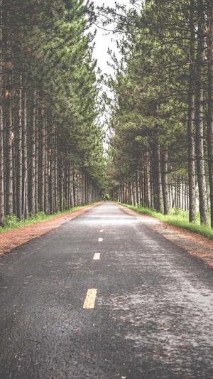 91黑料在线截图3