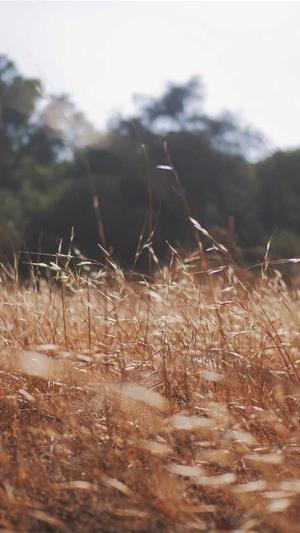 黑料不打烊吃瓜爆料截图5