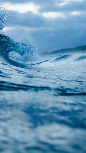 51吃瓜最新网址截图1