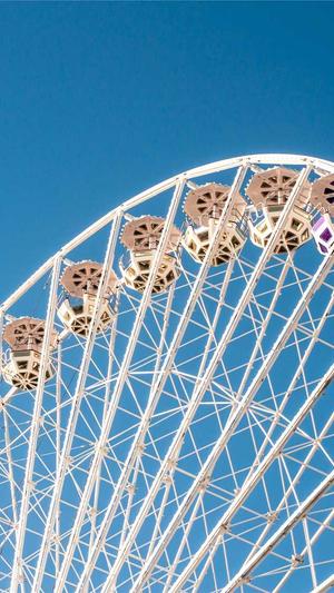 佛手瓜怎么吃没毒截图2