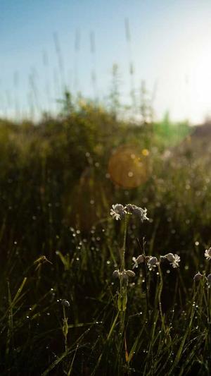 胖翻译官吃瓜截图5