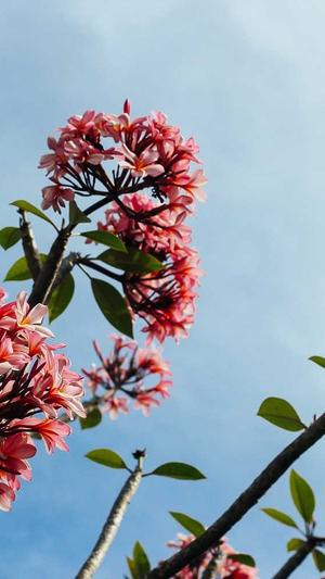 不良研究所怎么吃瓜截图1