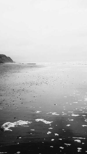 聚氨酯黑料截图4