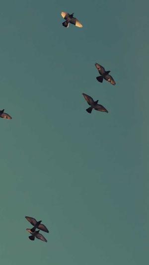 黑料不打烊最新章节截图3