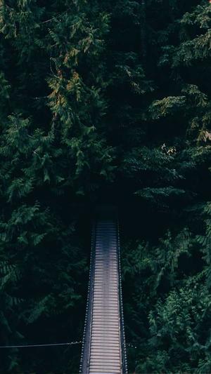 黑料 不打烊截图2