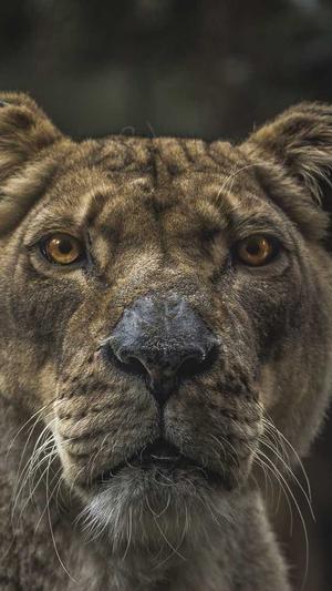 孕妇可以吃哈密瓜截图4