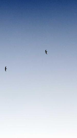 黑料社在线截图4