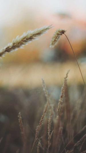 黑料正能量历史记录截图2