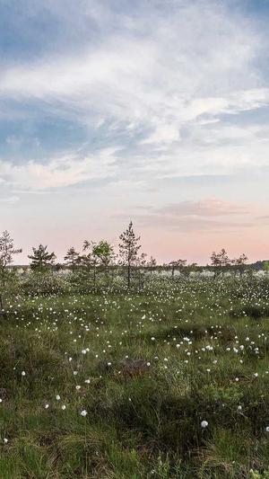 佛手瓜怀孕可以吃吗截图2