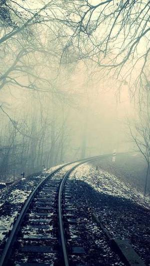 51吃瓜今日吃瓜入口4截图2