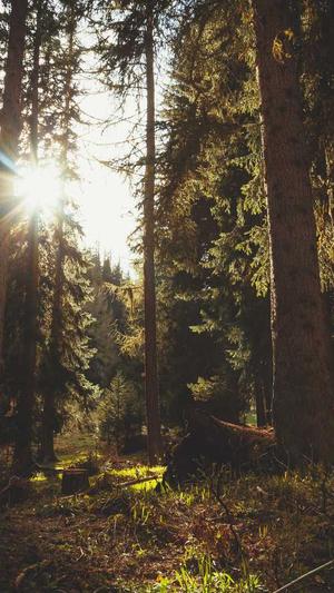 许嵩黑料是真的吗截图4