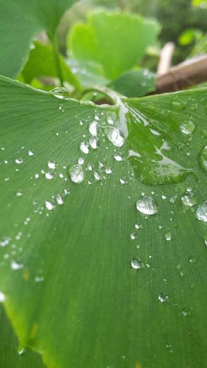 胡侃带你吃瓜截图3