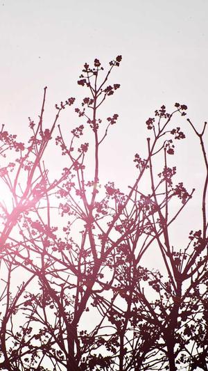 陈立农黑料澄清截图2