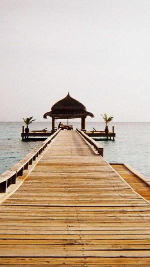 我是吃瓜群众截图4