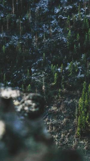 福利8.su黑料正能量入口截图5