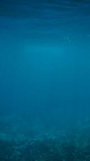 花岗岩芝麻黑料哪里有截图2