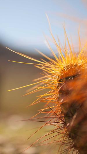 51cg吃瓜网截图2