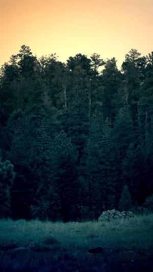 最新吃瓜爆料截图4