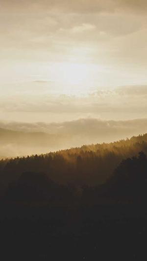 zztt24黑料不打烊网址截图1