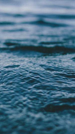 zztt10黑料不打烊截图3