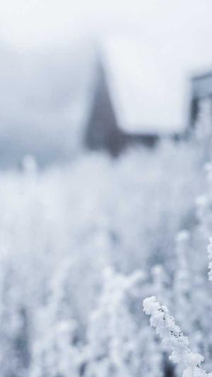 带你吃瓜呀!截图2