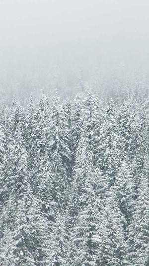 黑料传送门截图1