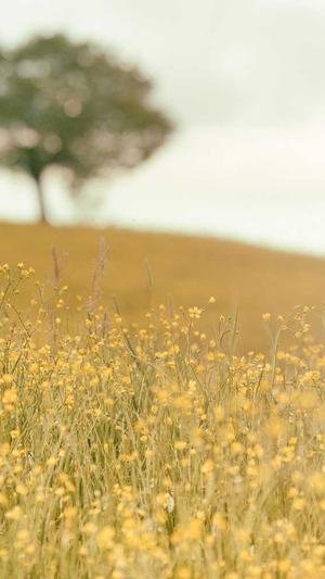 黑料吃瓜网大全截图2