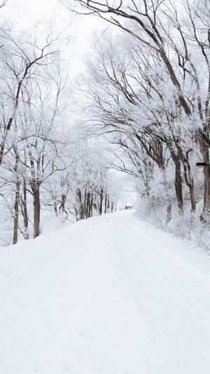 晚上吃瓜会长胖吗截图3
