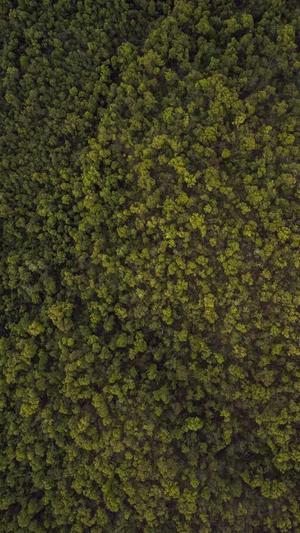 空腹吃哈密瓜截图5