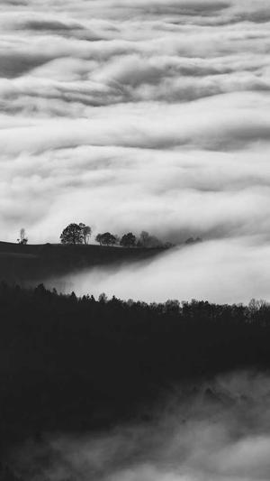 黑料正能量历史记录截图1