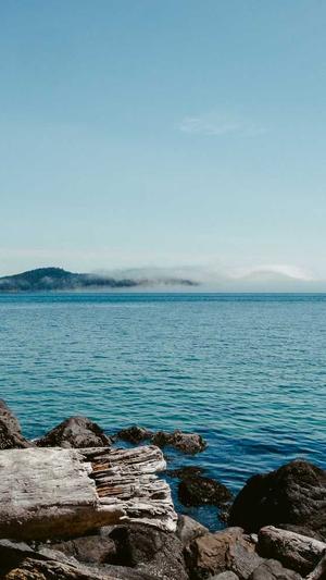 黑料不打烊痞幼截图2