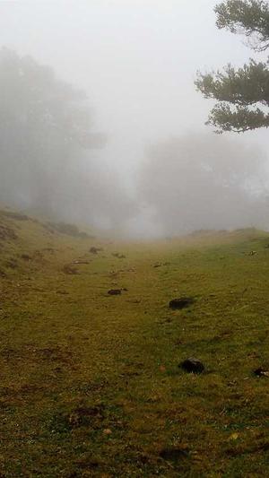 国产黑料在线观看截图5