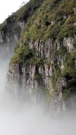 国产吃瓜在线截图4